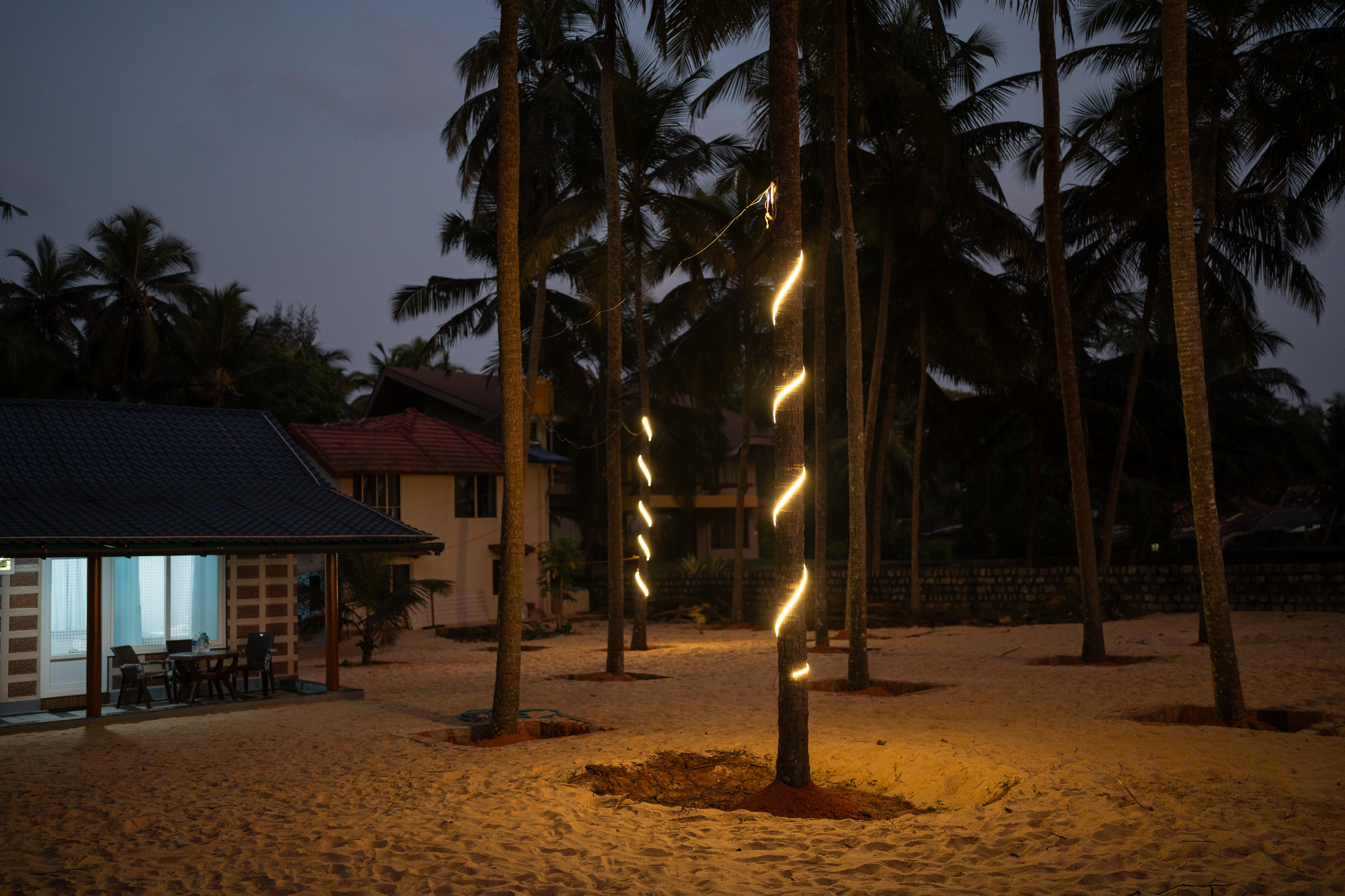 Beach Hammock and Sea View at Sunset